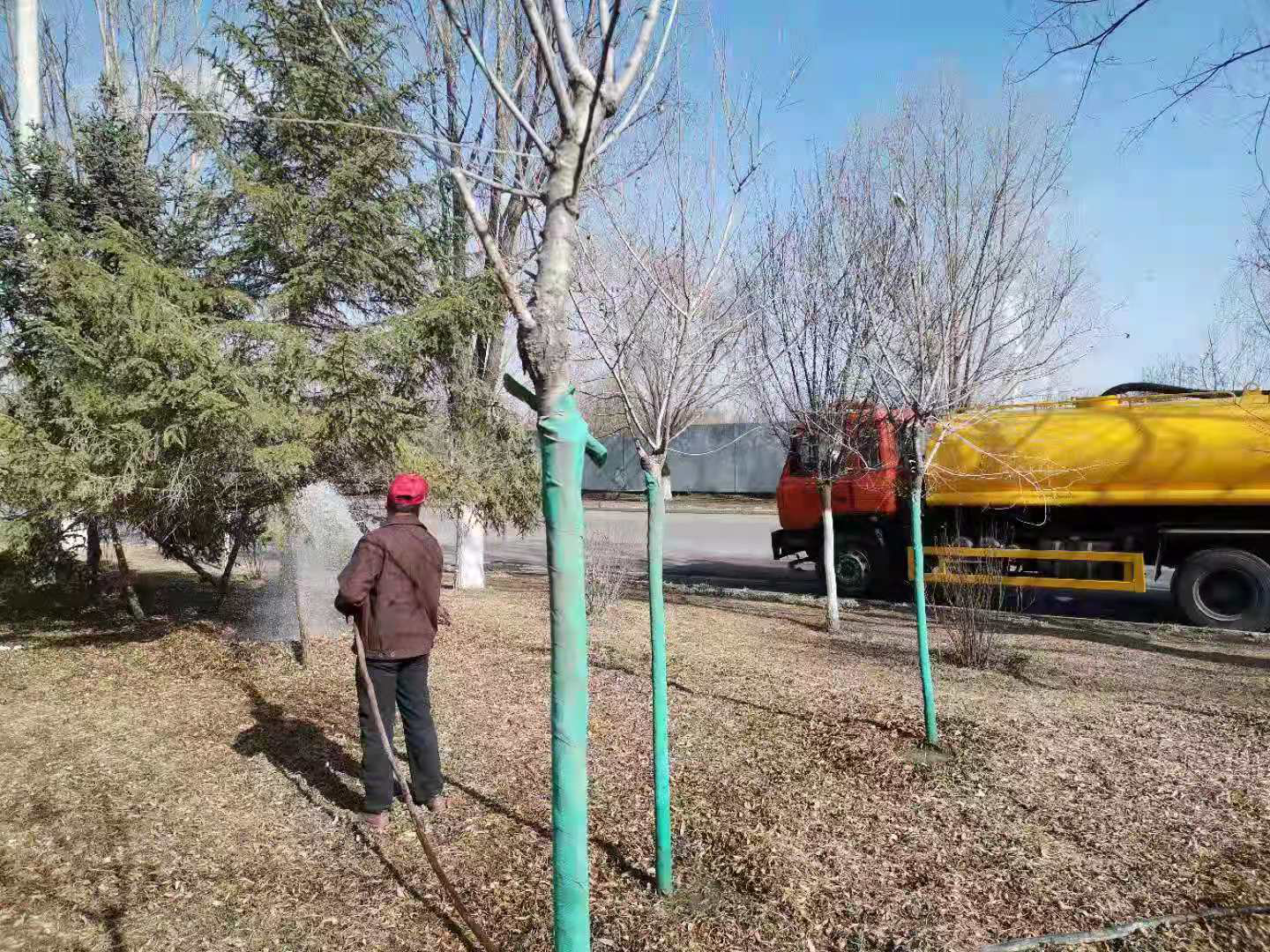 泓源綠化公司多措并舉做好春季綠化養(yǎng)護(圖2) 泓源綠化公司多措并舉做好春季綠化養(yǎng)護(圖2)